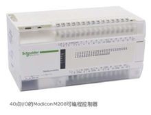 施耐德Modicon TM208系列PLC TM208LDA24DRN可编程控制器